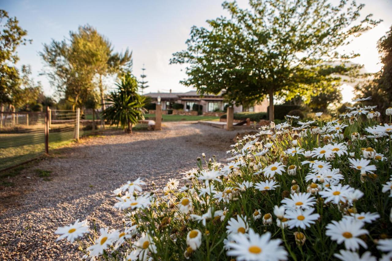 Agroturismo Can Pere Rei Son Serra de Marina Exteriér fotografie