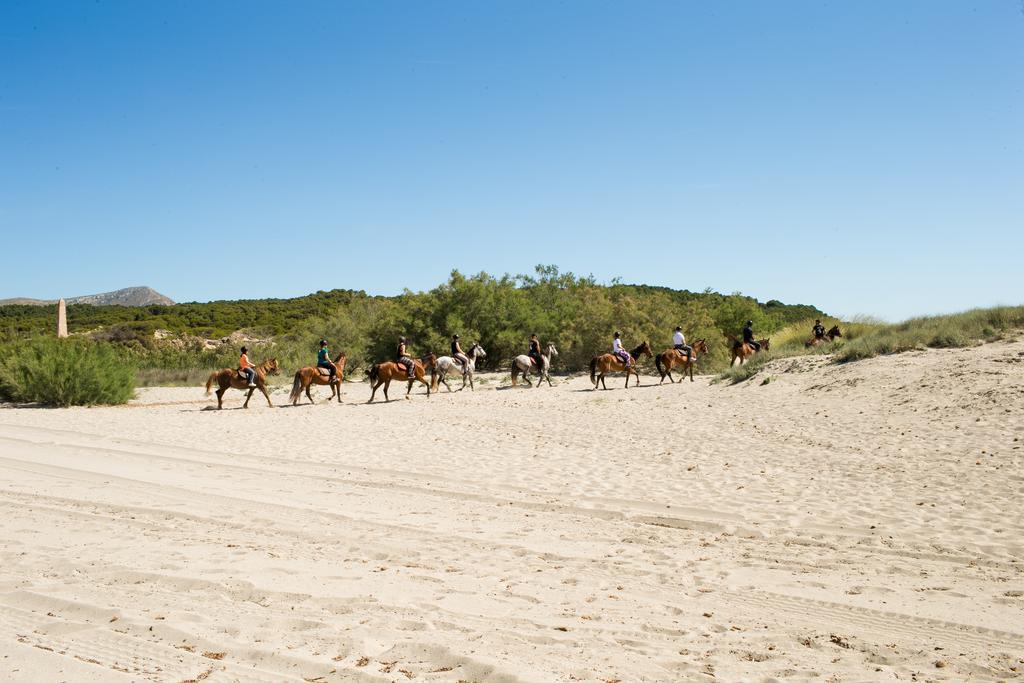 Agroturismo Can Pere Rei Son Serra de Marina Exteriér fotografie